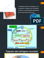 Ambiental Fijacion de Nitrogeno