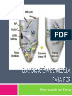 Presentaciones de PCR y Geles-Vr