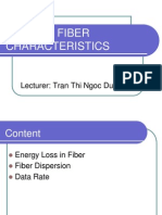 Chapter 4 FIBER Characteristics: Lecturer: Tran Thi Ngoc Dung