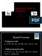 Age Determination in Horses: Tanveer Hussain Lecturer Department of Livestock Production