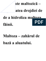 Activitate Maltozică