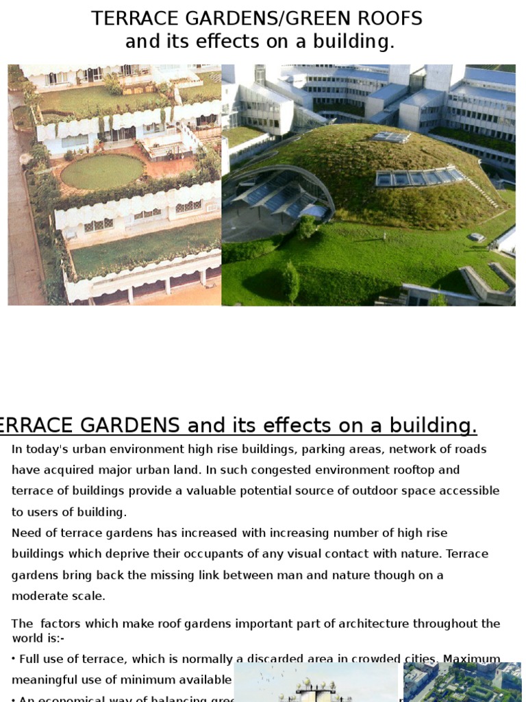 Terrace Garden | PDF | Gardens | Stormwater