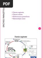 Sestodlar1