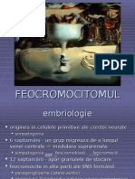e-feocromocitomul.ppt