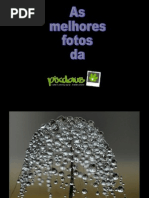 As Melhores Fotos Da PIXDAUS I