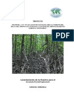 ITTO Inventario Forestal..