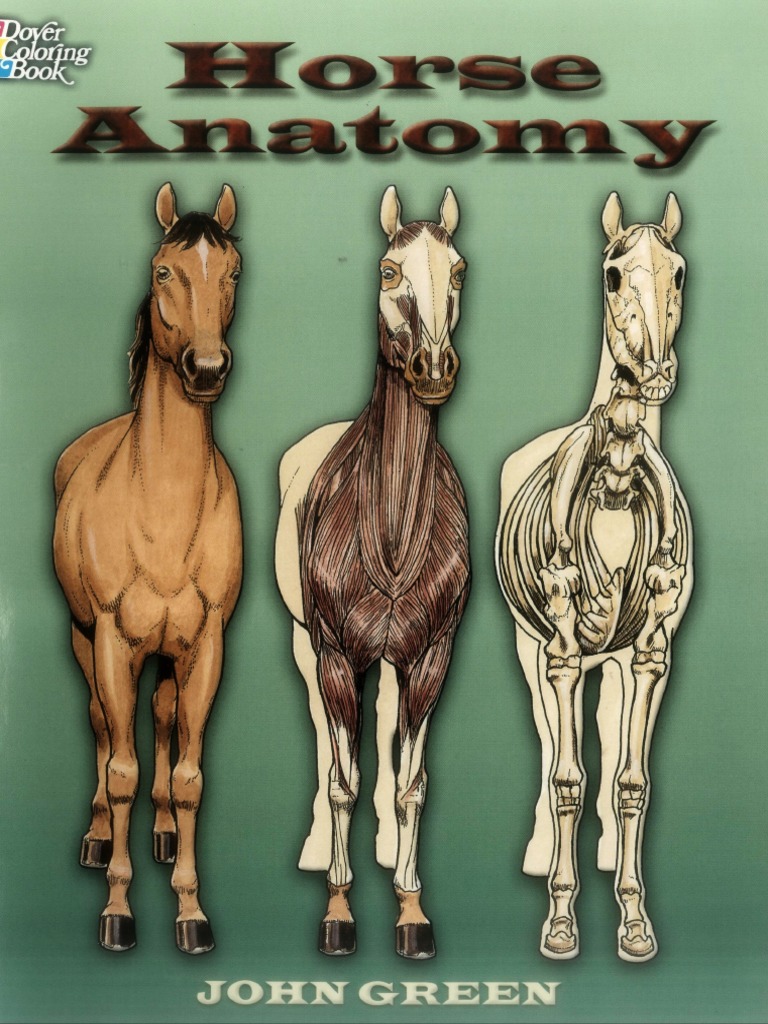 Horse Anatomy Dover Nature Coloring Book | PDF