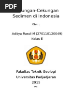 Download Cekungan Sedimen Indonesia by AditYa Rasdi Metly SN261070478 doc pdf
