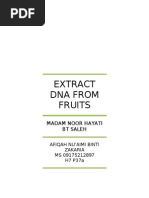 Download How to Extract DNA From Fruits by appleaimi SN26107527 doc pdf