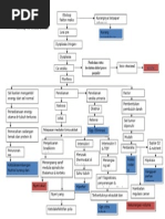 CA Buli Pathway