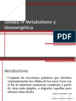 Unidad IV Metabolismo y Bioenergética