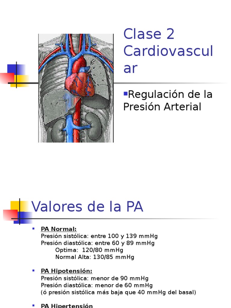 (Regulación de La Presión Arterial)