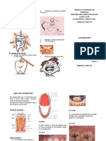 Triptico de Los Dientes