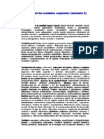 Anatomia PDF