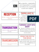 Visual Perception Flashcards