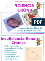 Insuficiencia Renal Crónica