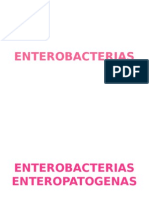 Enterobacterias Enteropatogenas