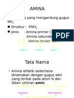 Materi Tentang Amina - Diprint