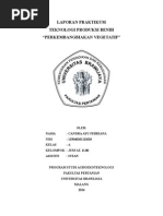 Download PERBANYAKAN VEGETATIF by candraayuu SN261117062 doc pdf