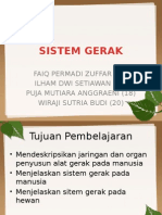 SIstem Gerak