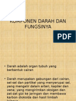 38282976 Komponen Darah Dan Fungsinya