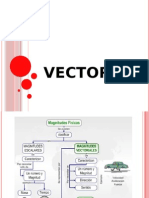 Vectores