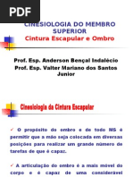 Cinesiologia Do Membro Superior - Cintura Escapular e Ombro