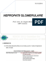 Nefropatii Glomerulare Curs 1