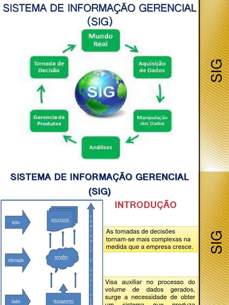 Sistema de Informação Gerencial (SIG) | PDF | Sistema de informação ...