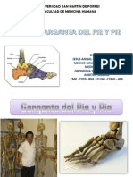 Clase Garganta Del Pie y Pie - Jaac PDF
