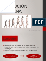 Evolución Humana