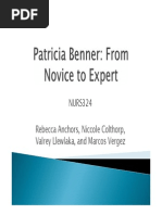 Patricia Benner-From Novice To Expert