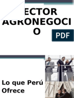 SECTOR AGRONEGOCIO.ppt