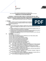DIRECTIVA FINALIZACION-2014(13-12-12).docx