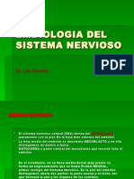 Embiologia Del Sistema Nervioso Clase2