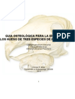 Guía de Identificación Osteológica de Roedores Andinos