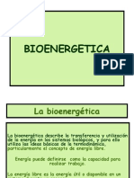 Bioenergetica 2