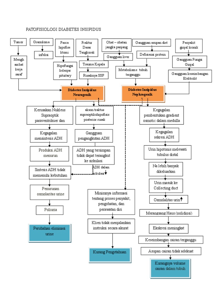 PATOFISIOLOGI DIABETES INSIPIDUS.doc