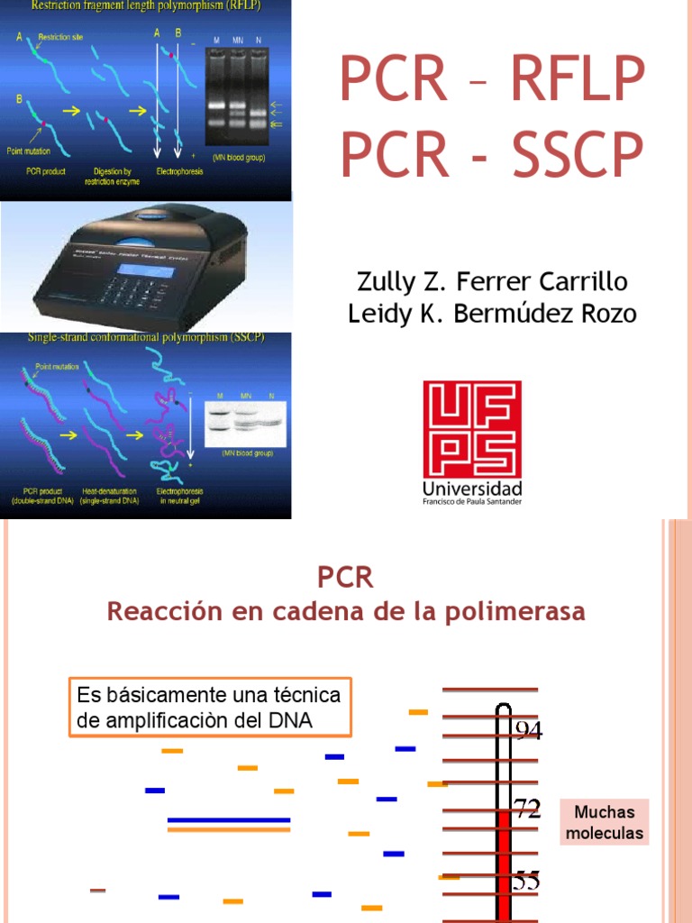 SSCP日本語講座