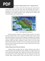 Download Cekungan Salawati Tgas Ku by AhmadRifaiSalim SN261208511 doc pdf