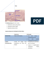 HISTOLOGI JANTUNg 1