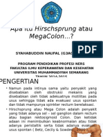 Apa Itu Hirschsprung Atau Mega Colon