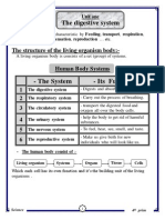 مذكرة شرح علوم الصف الرابع الابتدائي لغات 2015 science for primary 4 second term 2015 Prim 4secondTERM2015