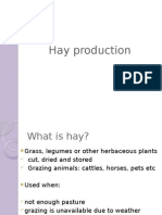 hay production