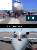 Bird Strikes