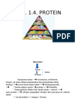 Bab V Protein