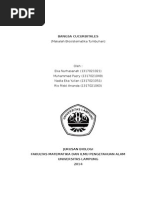 Download MAKALAH BIOSISTEMATIKA TUMBUHAN by NurchasanahEcha SN261248825 doc pdf