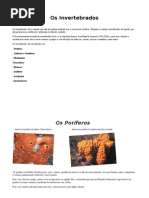 Os Invertebrados.docx