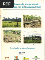 Modificações nos solos pelo uso agrícola no Assentamento Favo de Mel