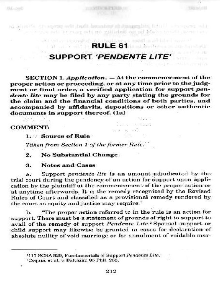 Support Pendente Lite PDF